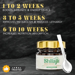 Shilajit 17 Gms | Boosts Performance, Strength & Stamina, Improves Endurance & Builds Muscle Mass