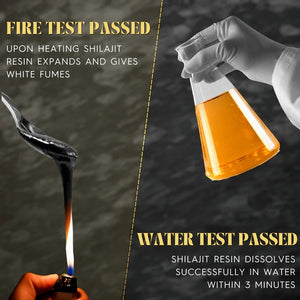 Shilajit 17 Gms | Boosts Performance, Strength & Stamina, Improves Endurance & Builds Muscle Mass